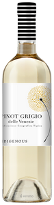 Indigenous Pinot Grigio N.V.