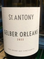 St. Antony Gelber Orleans
