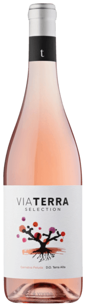 Edetària Via Terra Selection Rosé | Vivino US