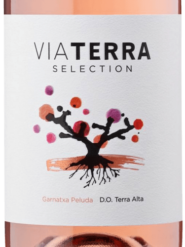 Edetària Via Terra Selection Rosé | Vivino US