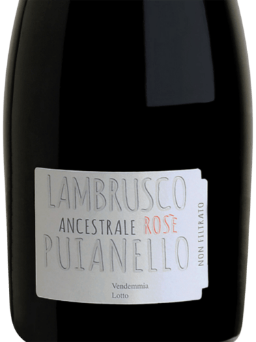 Lambrusco Ancestrale Rosé