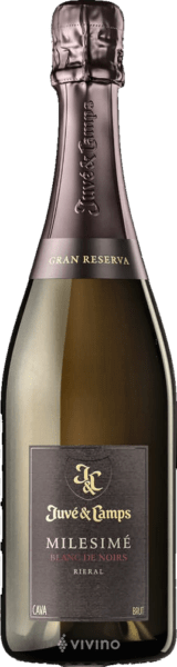 Juvé & Camps Cava Milesimé Blanc de Noirs Rieral Brut