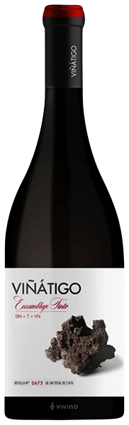 Viñátigo Ensamblaje Tinto