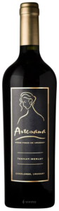 Artesana Tannat - Merlot N.V.