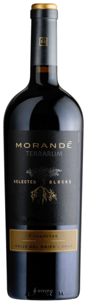 Morandé Terrarum Selected Blocks Carménère