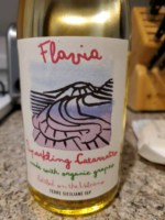flavia 亀　イタリア flavia 亀 イタリア