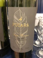Pucará Single Vineyard Gran Reserva Cabernet Sauvignon