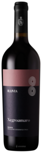 Leone de Castris Illivia N.V.