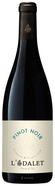 値下げ中 てぃんくる Pinot Noir C/E 値下げ中 てぃんくる Pinot Noir C/E 値下げ中 てぃんくる Pinot Noir C/E