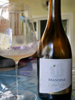 Villa Santa Maria Brandina Sur Lie