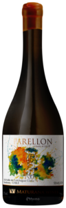 Maturana Parellon Semillon N.V.