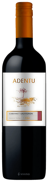 Siegel Adentu Cabernet Sauvignon