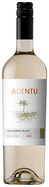 Siegel Adentu Sauvignon Blanc