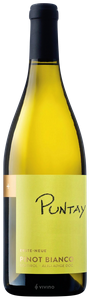 Erste+Neue Puntay Pinot Bianco N.V.