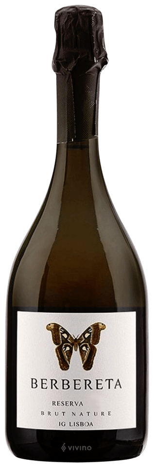 Romana Vini Winery | Vivino