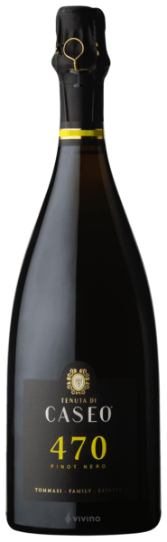 Tommasi Tenuta di Caseo 470 Pinot Nero