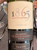 San Pedro 1865 Las Lagunas Carménère