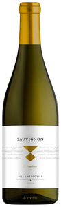 Villa Vescovile Sauvignon