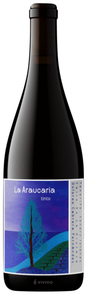 Dolores Cabrera Fernandez La Araucaria Tinto