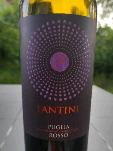 2021 Fantini Fantini Puglia Rosso | Vivino US
