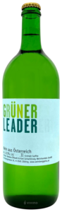 Barbara Öhlzelt Grüner Leader 2024
