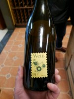 Glatzer Hanna Glatzer Weiss Traminer