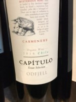 Odfjell Capítulo Mysterious Boat Carménère Organic