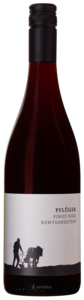 Weingut Pflüger Pinot Noir Buntsandstein 2023
