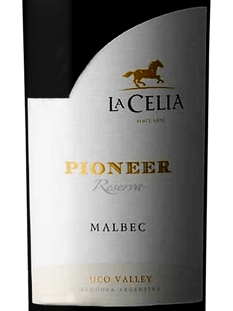 Pioneer Malbec Reserva