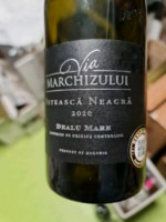 Vitis Metamorfosis Via Marchizului Fetească Neagră