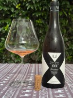 Bodegas Frontonio XX Frontonio Arenisca Garnacha