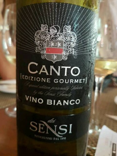 Sensi Canto Edizione Gourmet Vino Bianco | Vivino US