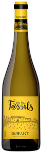 Llopart Clos Dels Fòssils N.V.
