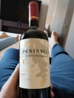 Ventisquero Península Merlot