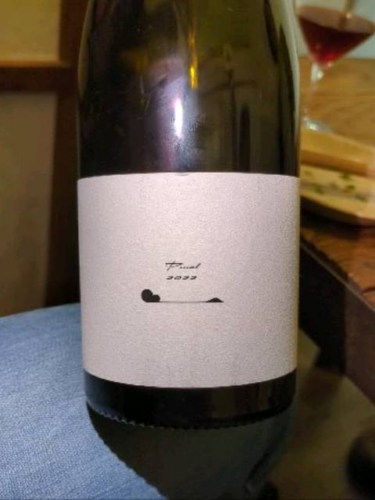 Terre de ciel Pinot 2022(テールドシエル ピノ) | Vinica 無料