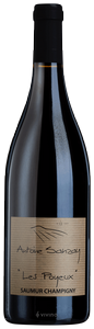 Antoine Sanzay Saumur Champigny 'Les Poyeux' 2020