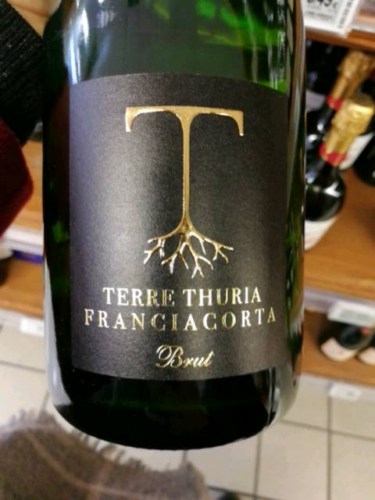 Terre Thuria Franciacorta Brut | Vivino English