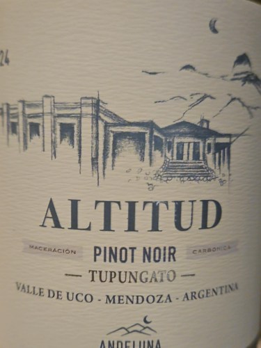 ANDELUNA ALTITUD PINOT NOIR 6X750 - imagen 5