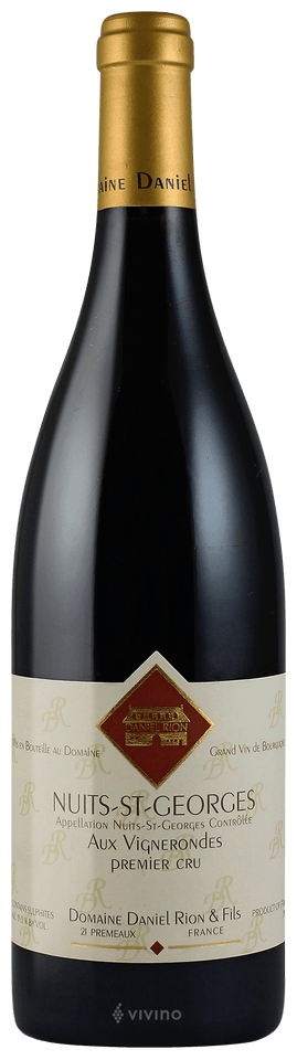 Domaine Daniel Rion & Fils Nuits-Saint-Georges Premier Cru 'Aux