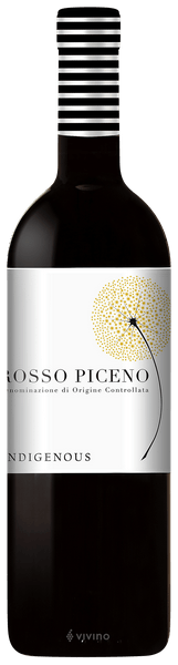 Indigenous Rosso Piceno