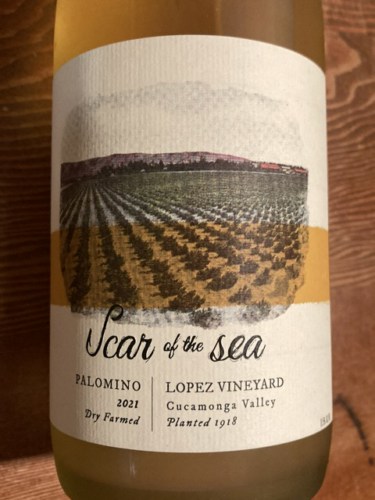 Lopez Vineyard Palomino