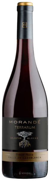 Morandé Terrarum Selected Blocks Pinot Noir