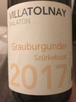 Villa Tolnay Grauburgunder