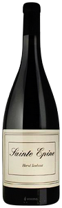Hervé Souhaut Sainte Epine N.V.