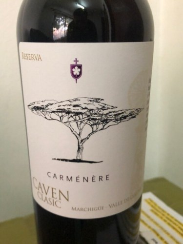 Bodega Caven Reserva Carménère | Vivino English