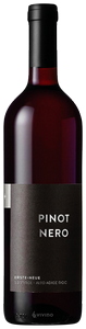 Erste+Neue Blauburgunder (Pinot Nero) N.V.