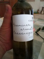 Cantina Del Coppiere Traminer Aromatico Trevenezie Vivino