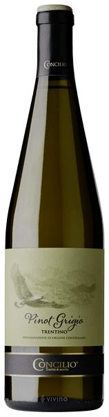 Concilio Trentino Pinot Grigio | Vivino US