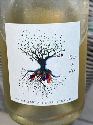 Pour de Vrai Pet Nat Blanc