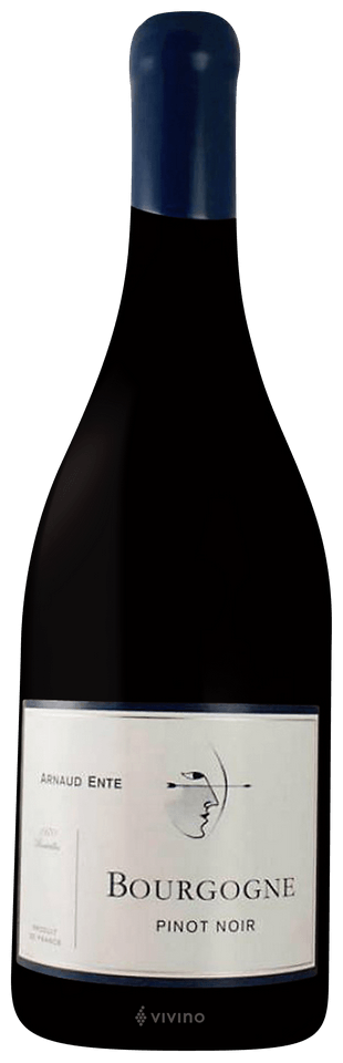 Winery Arnaud Ente Pinot Noir Bourgogne 2017 2006 Domaine Arnaud